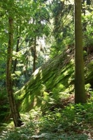 Intensivtage: Urban - Outdoor (4 Tage) 